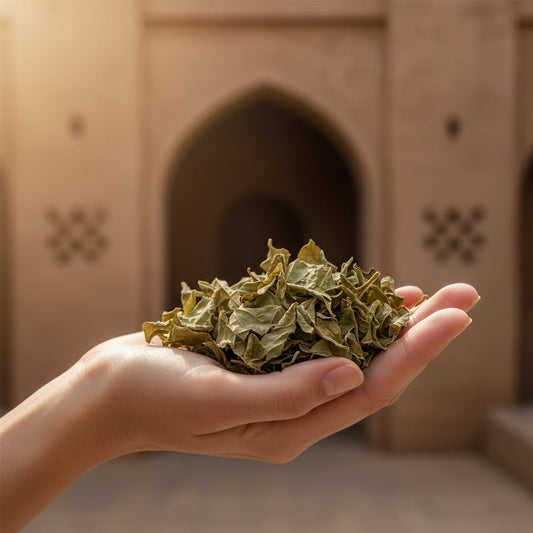 Unlock Ancient Secrets: The Miraculous Power of Sidr for Your Hair - Khsla